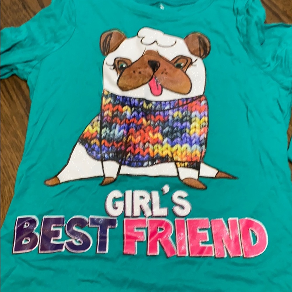 Teal t-shirt dog pug - Picture 2 of 3